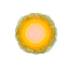 Big Firefly2.png