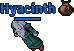 Hyacinth.PNG