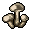 Wood Mushroom.png