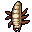 larva.png