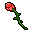 Rose.png