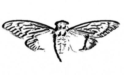 File:Cicada 3301 logo.jpg