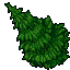 Fir Tree.png