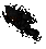 Shadow.png