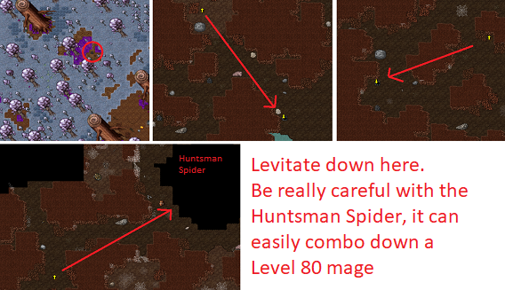 File:Huntsmandwarf.png