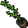 Thumbnail for version as of 20:05, 22 December 2021