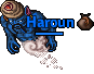 Haroun.gif