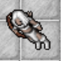 Scout 2 female.gif