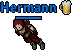 Hermann.png