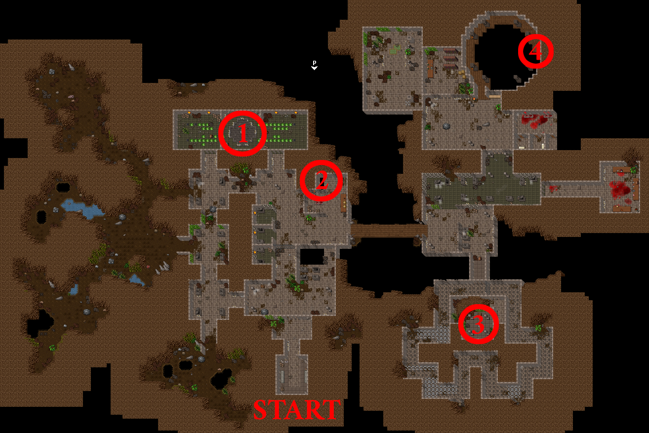 Dung1.png