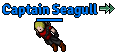 File:Captain Seagull.png