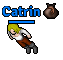 Catrin.png
