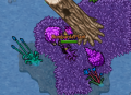 Thumbnail for version as of 23:06, 3 March 2024