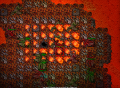 Thumbnail for version as of 17:24, 10 August 2020