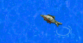 Thumbnail for version as of 17:47, 23 May 2019