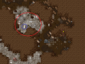 Thumbnail for version as of 18:30, 29 September 2024