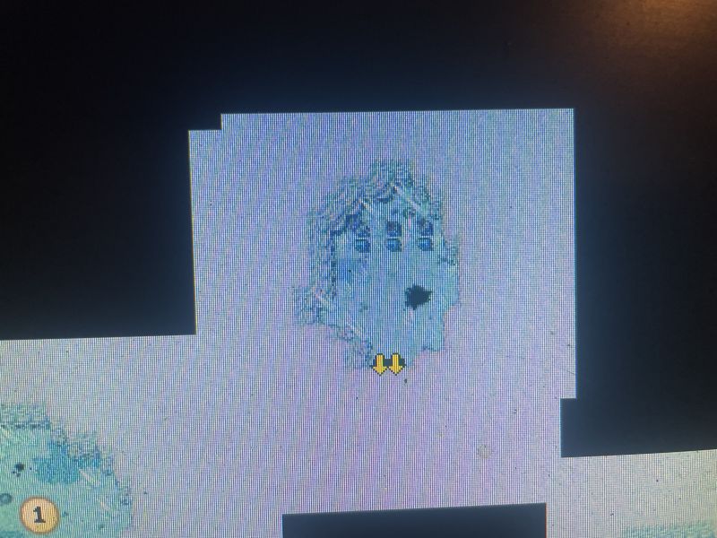 File:Ice golem quest final room.jpeg