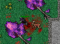 Thumbnail for version as of 20:27, 1 August 2020
