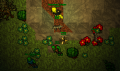 Thumbnail for version as of 11:53, 11 April 2018