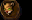 Cougar Trophy.gif