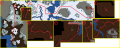 Thumbnail for version as of 22:57, 6 August 2020
