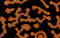 Thumbnail for version as of 12:40, 11 April 2018