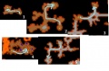 Thumbnail for version as of 19:10, 15 June 2018