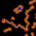 Thumbnail for version as of 22:06, 11 February 2020
