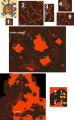 Thumbnail for version as of 23:38, 11 February 2022