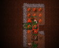 Thumbnail for version as of 01:33, 1 July 2020