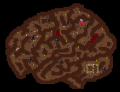 Thumbnail for version as of 19:36, 16 April 2021