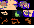 Thumbnail for version as of 12:33, 26 September 2018