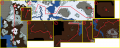 Thumbnail for version as of 22:49, 6 August 2020