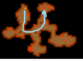 Thumbnail for version as of 15:53, 15 June 2018