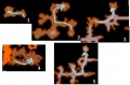 Thumbnail for version as of 18:56, 15 June 2018