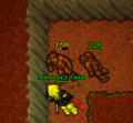 Thumbnail for version as of 13:07, 12 April 2018