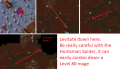 Thumbnail for version as of 10:58, 23 December 2020