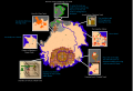 Thumbnail for version as of 21:32, 13 April 2018