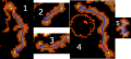 Thumbnail for version as of 22:43, 2 June 2019