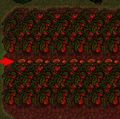 Thumbnail for version as of 23:24, 11 November 2023