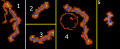 Thumbnail for version as of 16:09, 3 June 2019