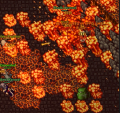 Thumbnail for version as of 16:17, 12 February 2022