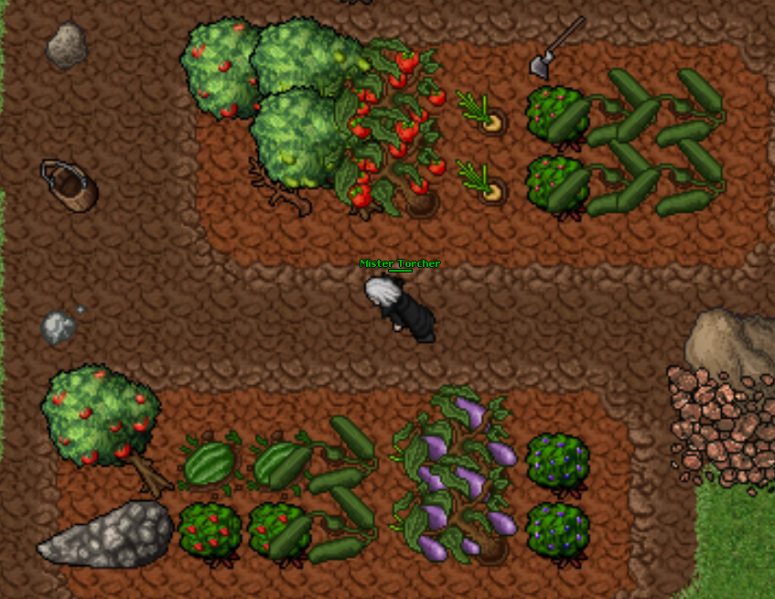 File:Some Grown Crops.png