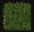 Nature Carpet.png