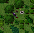 Thumbnail for version as of 23:25, 31 July 2020